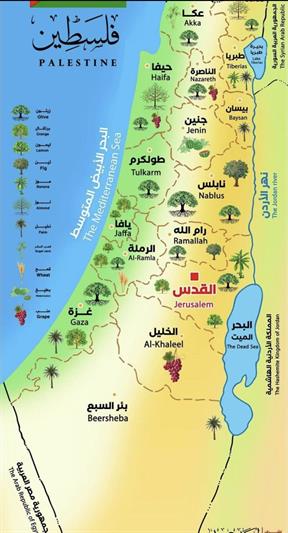 الصورة منقولة- المصدر غير معلوم.